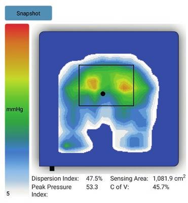 Srovnání výstupů ze speciálního měření tzv. BODY PRESSURE MAPPING - měření distribuce tlaku mezi lidským tělem a opěrnými plochami, jako jsou sedadla a sedáky, matrace, polštáře a opěradla.