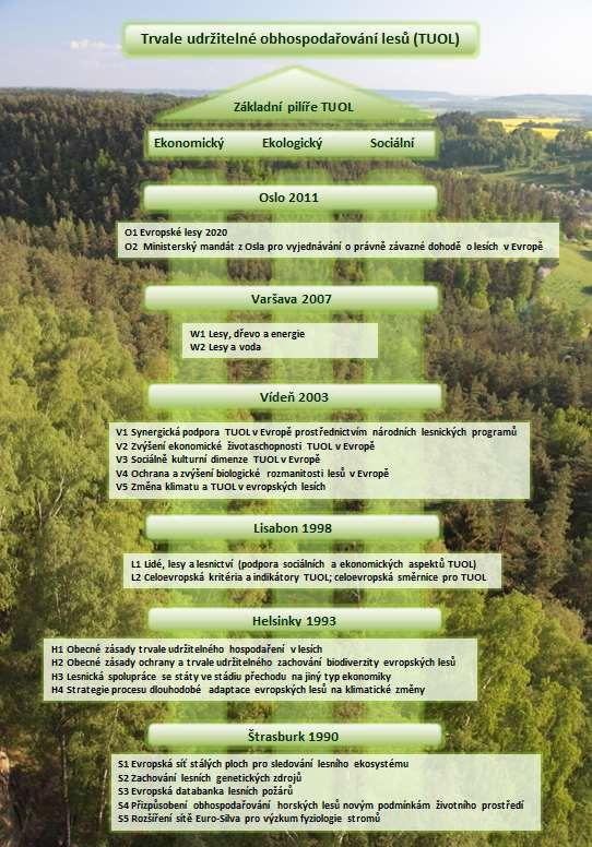 Společenská objednávka ve vztahu k OPRL - mezinárodní souvislosti Reakce na potenciální změny způsobené změnou klimatu Úprava druhové skladby lesů Přírodě blízké postupy při obhospodařování lesů