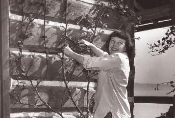 Eva Marxová (1927) Přední česká překladatelka po maturitě na gymnáziu v Praze vystudovala Právnickou fakultu Univerzity Karlovy, jako právník však nesměla z politických důvodů působit.
