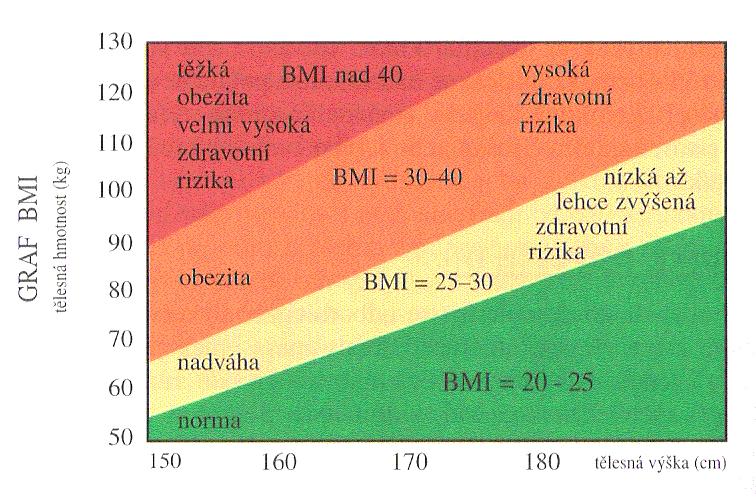 UTB ve Zlíně, Fakulta humanitních studií, Institut mezioborových studií Brno 27 v metrech. BMI představuje orientační hodnocení tloušťky, nezachycuje podíl tuku a beztukové hmoty.