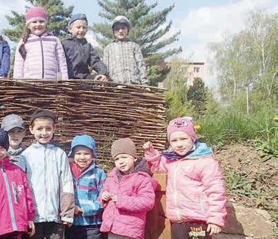 Naším školním vzdělávacím programem prolíná projekt Zahrada radosti - učebna pod širým nebem, který je zaměřen na environmentální vzdělávání a výchovu, podporující u dětí pobyt v přírodním prostředí