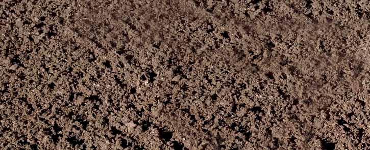 200 mm geotextilie tepelně izolační zásyp LIAPOR GROUND tl. 0,5 m geotextilie rostlý terén Detail v DWG formátu je možné stáhnout na www.zakladani-domu.