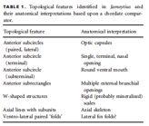 mineralized interteritorial matrix