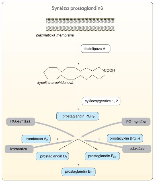 Obr.1: Syntéza