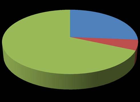7.2.4 Grafické znázornění 1. Dívky vs. chlapci pohlaví idolů Pohlaví idolů u dívek 4.
