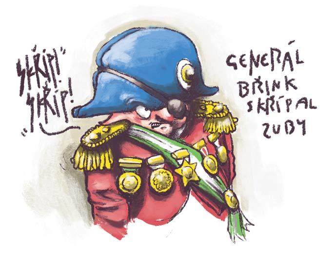 Velké rady. Zadívala se směrem k lampasákům. Generál Břink ji upřeně pozoroval. Kdyby Zoja odmítla, získal by celou operaci opět pod svá armádní křídla. Ano, přijímám.