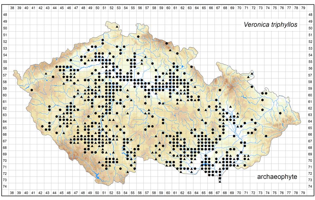 Distribution of Veronica triphyllos in the Czech Republic Author of the map: Jiří Danihelka Map produced on: 08-08-2017 Database records used for producing the distribution map of Veronica triphyllos