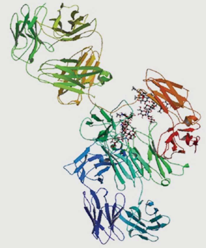 Obr. 2. Evolokumab.