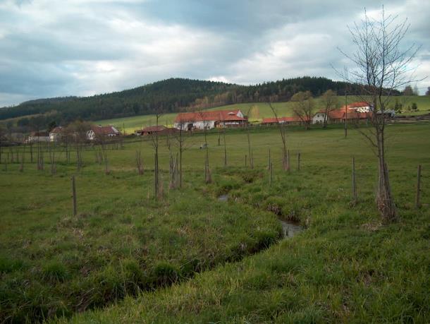 rozvoj břehové a doprovodné vegetace dřeviny zapojené, porost přírodě blízkého charakteru, včetně již se objevujícího mrtvého dřeva v korytě pozitivní vliv na změny morfologie, již přirozená dynamika