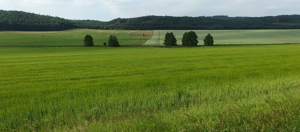 Ing. Jaroslav Bejšovec, znalec v oboru ekonomika, odvětví ceny a odhady, specializace nemovitosti, jmenovaný rozhodnutím předsedy Krajského soudu v Brně ze dne 22.4.1991, č.j. Spr.