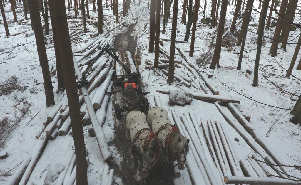 Představujeme úspěšné žadatele o dotaci Rádi bychom vám, počínaje tímto číslem, přinášeli rozhovory s úspěšnými žadateli, kteří prostřednictvím výzev MAS Radbuza získali finanční podporu na realizaci