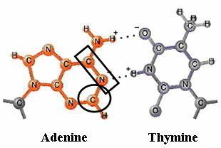 Redoxní