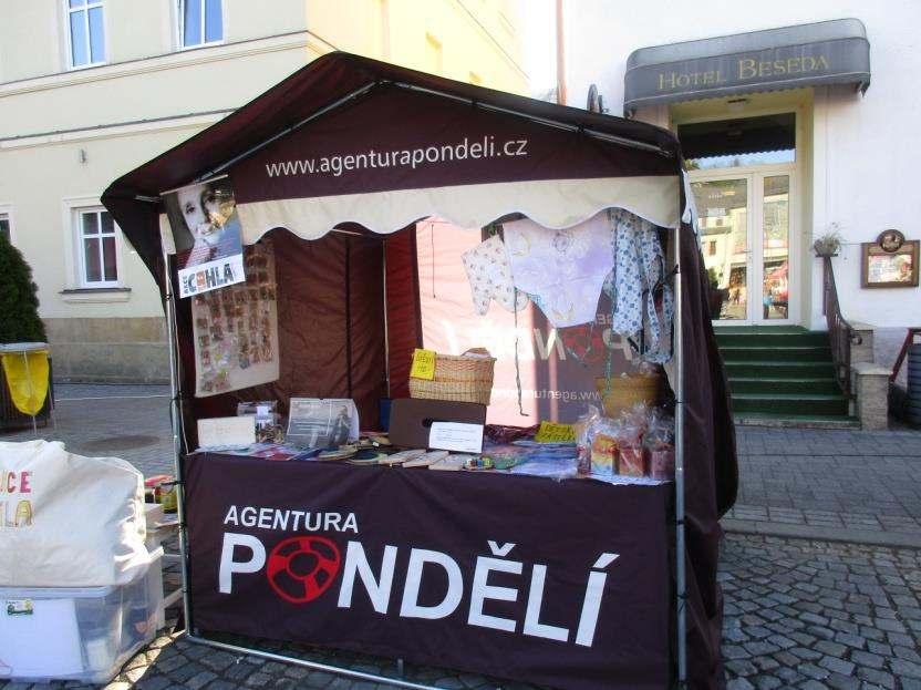 Celkový hospodářský výsledek k 31. 12. 2016 0,00 Financující partnei Dotace KÚ Ústeckého kraje, ÚP Rumburk, město Rumburk, Nadace Euronisa a soukromí dárci.