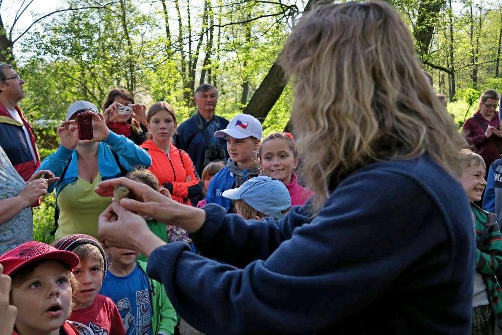 viděli pěvušku modrou, červenku obecnou, sýkoru koňadru, kosa černého, budníčka menšího, cvrčilku zelenou, pěnkavu obecnou (samce i samičku), pěnici černohlavou, lindušku lesní, střízlíka obecného,