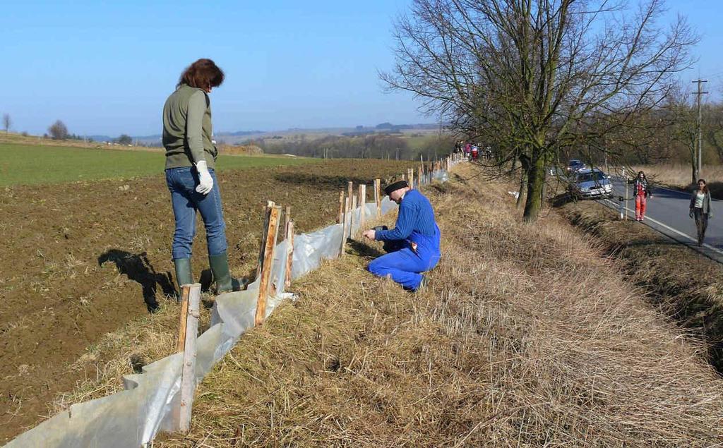 1. ÚVOD Činnost sdružení Mokřady ochrana management (dále jen sdružení Mokřady ) v prvním roce jeho fungování byla poměrně bohatá.