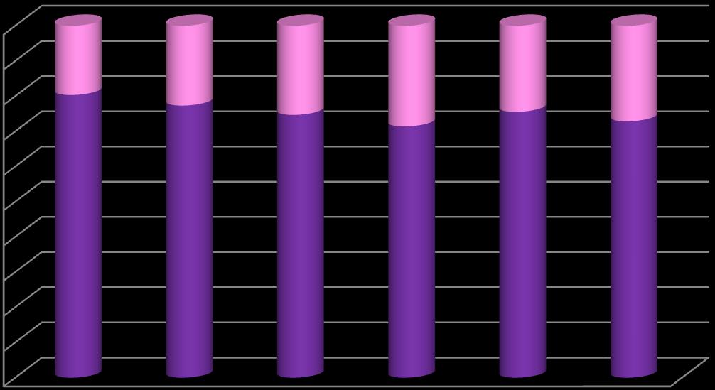 Graf 5: Poměr zadluženosti firmy 100% 90% 80% 70% 60% 50% 40% 30% 20% 10% 0% 19,64 22,62 25,15 28,51 24,41 27,08 80,27 77,21 74,22 71,24 75,43 72,73 2008 2009 2010 2011 2012 2013 Celková zadluženost