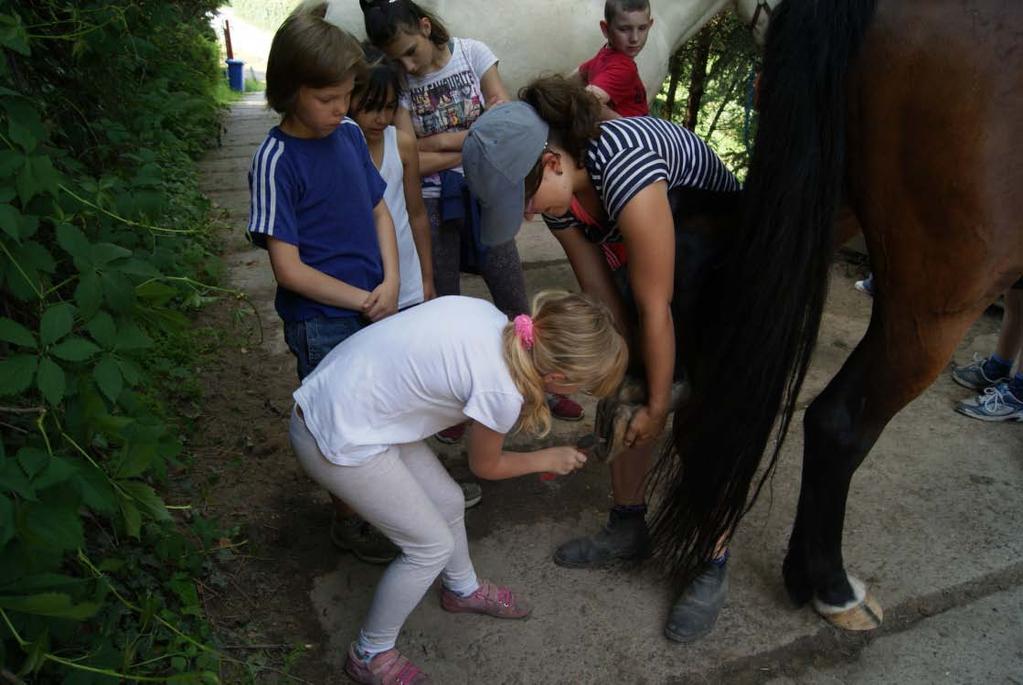 Děti na koňské farmě Vánoční výtvarná dílna Během Adventu Kontakt připravil pro děti i jejich rodiče předvánoční setkání, jehož náplní bylo výtvarné tvoření.