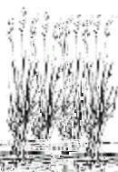 Various form of aquisition, clustering