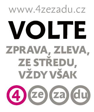 Volební rok