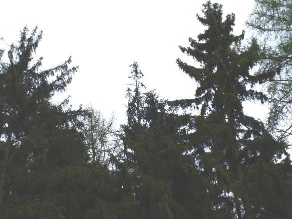 Přikládáme několik fotografií svědčících o pravdivosti našich slov.