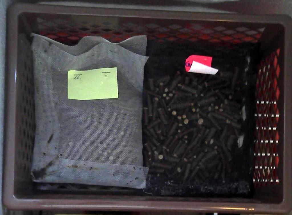 Obr. 4 Síťky s jednonodálními řízky v košíku v mrazicím boxu pro mrazovou dehydrataci. 3.