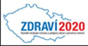 Souhrn strategických dokumentů Zdraví 2020 Národní strategie