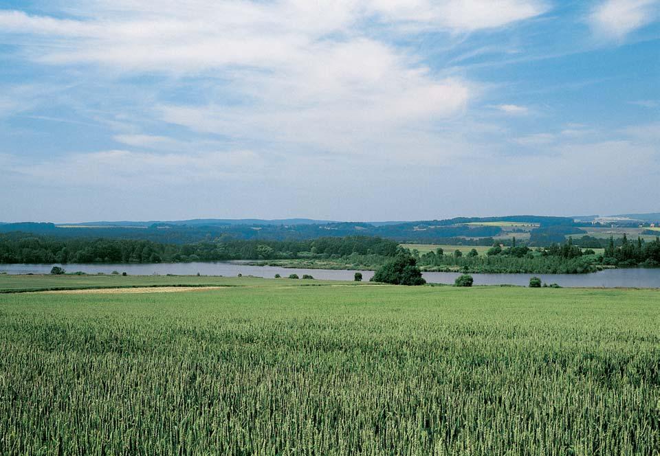 PlzeÀsko a Karlovarsko 2 cus aeruginosus) a dal í. K vzácn m a mizejícím druhûm naopak patfií potápka ãernokrká (Podiceps nigricollis), ãírka obecná (Anas crecca), ã. modrá (A.