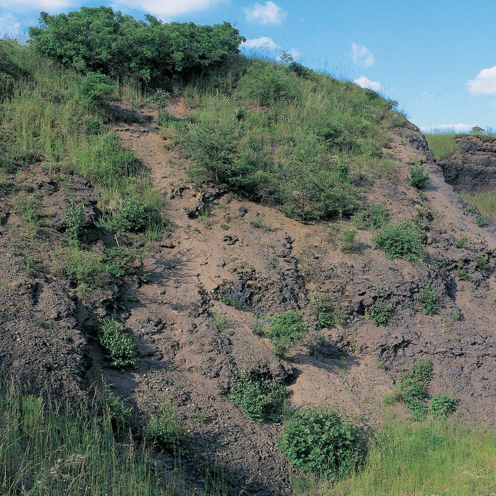 PlzeÀsko a Karlovarsko GEOLOGIE Îelezná hûrka (622,4 m n. m.) je zbytkem pleistocenního vulkánu (59 w 5 tisíc let).