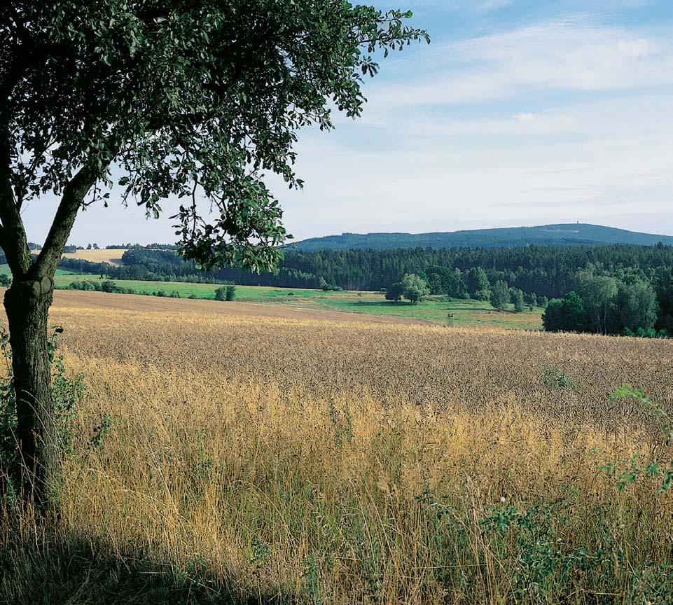 PlzeÀsko a Karlovarsko park âesk les Byl vyhlá en ONV v DomaÏlicích, Chebu a Tachovû vroce 990 jako tzv. oblast klidu a v r. 994 pfiehlá en na pfiírodní park.