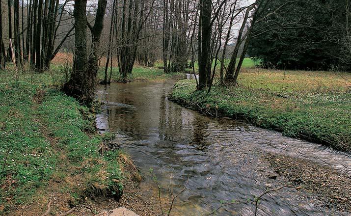 PlzeÀsko a Karlovarsko park Smrãiny Byl vyhlá en ONV Cheb v roce 990.