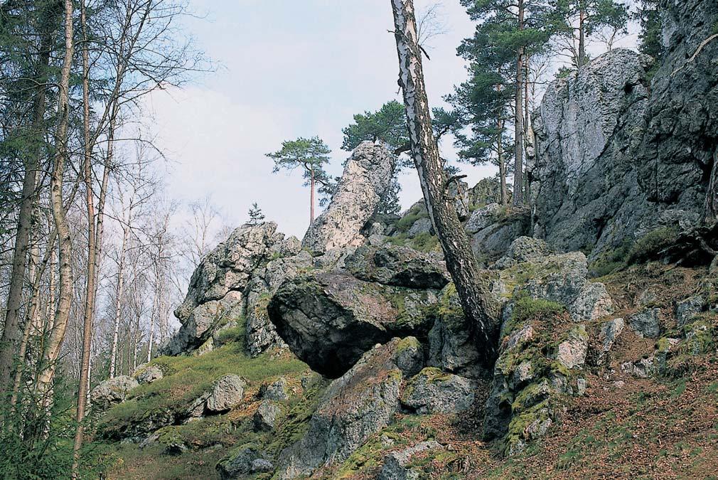 PlzeÀsko a Karlovarsko GEOLOGIE Území pfiírodní památky tvofií úzk nesoumûrn skalnat strukturní hfibet na vypreparované Ïíle ãeského kfiemenného valu, kter probíhá paralelnû s tektonick m zlomem