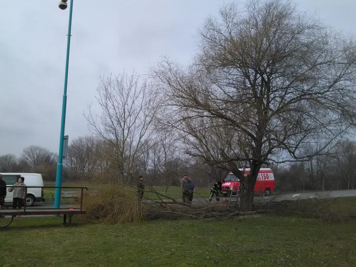Zde zůstala stát jedna nebezpečně nakloněná větev vrby, která by při pádu mohla ohrozit provoz na komunikaci a poškodit svodidla.