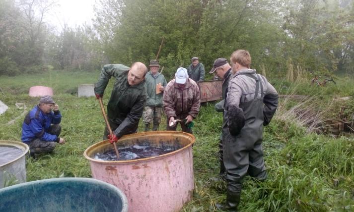Soutěžily ve stavění hranice, v rozebírání hranice, v umění létání na koštěti, zametání doupěte, udržení rovnováhy, čarodějném hokeji a na závěr se utkaly v papírové bitvě.