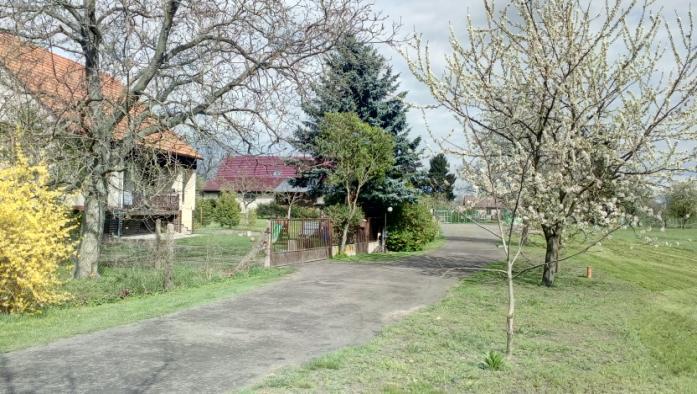 7 ks stromů 5 ks jeřabiny 2 ks olše na cykloodpočívadle nakoupili a zasadili