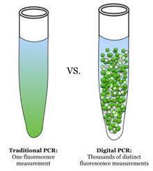 Intenzivní rozvoj PCR a sekvenačních