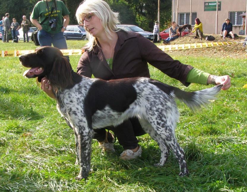 FENY - MEZITŘÍDA 10 ANGELIKA Z ROMANOVA CHOVU V1, CAC 8.12.