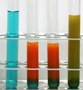 U droždí, mléka a fazolí ovšem pozorujeme vznik fialového zbarvení důkaz přítomnosti bílkovin.