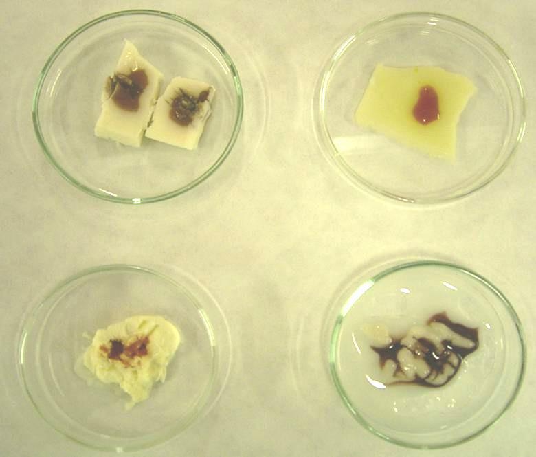 3. Laboratorní experimenty s přírodními látkami 49 Pozorování a vysvětlení A, B, C: A: Přítomnost redukujícího disacharidu laktosy v mléce se projeví vznikem oranžové až cihlové sraženiny oxidu