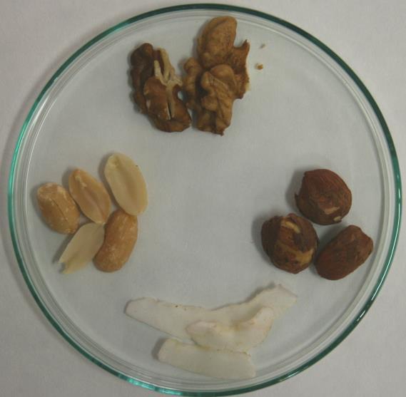 50 3. Laboratorní experimenty s přírodními látkami 4. Identifikace tuku v potravinách Zadání: Zjistěte, zda je v použitých potravinách přítomen tuk.