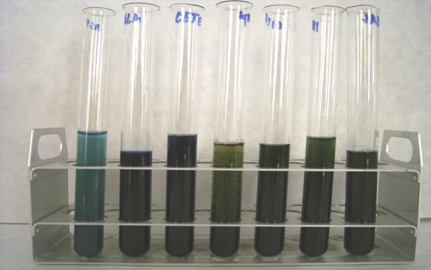 3. Laboratorní experimenty s přírodními látkami 57 vzorkem. Vzniklé modré či tmavě zelené zabarvení signalizuje přítomnost vitaminu C ve vorku.