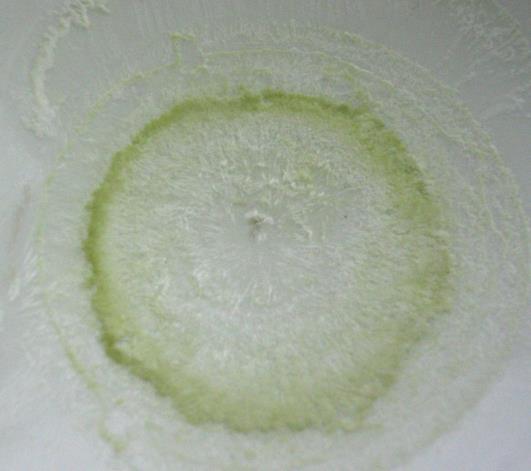 5. Experimenty v mikrovlnné troubě 89 Krystalky kofeinu z kávy a zeleného čaje 13. Příprava indikátorových barviv Zadání: Připravte acidobazické indikátory a vyzkoušejte jejich vlastnosti.