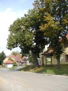 Část C Údaje o stavu životného prostředí v dotčeném území jimi jiné části krajiny, které zaregistruje podle 6 orgán ochrany přírody jako významný krajinný prvek, zejména mokřady, stepní trávníky,