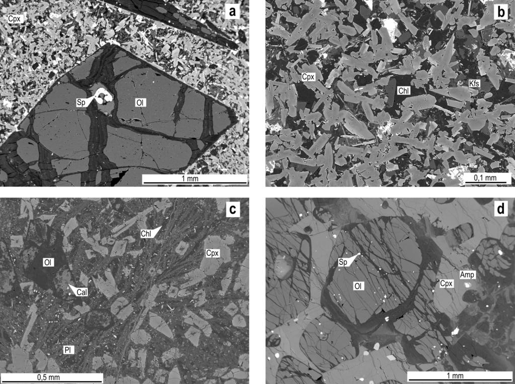 Obr. 1: Pikrity (a c) a peridotit (d) v BSE snímcích z lokalit Hončova hůrka (a b, Pikr-6), Hodslavice (c, DH3011) a Perná (d, DH2511): a vyrostlice částečně serpentinizovaného olivínu s inkluzemi