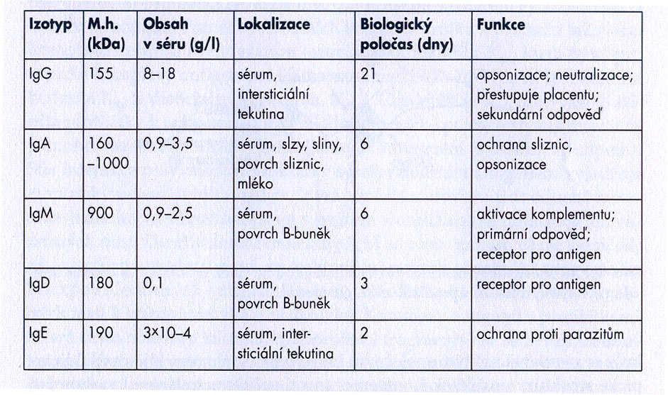 Charakteristika izotypů lidských