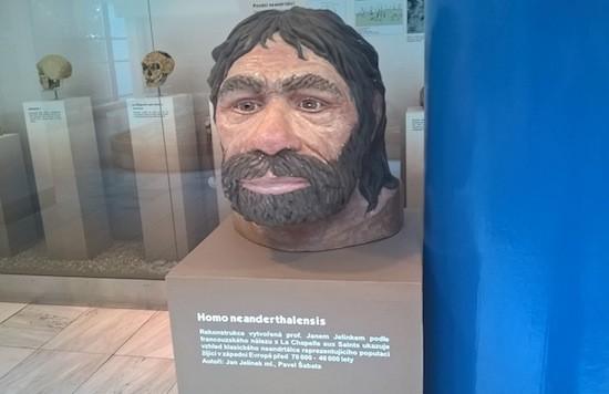 Homo