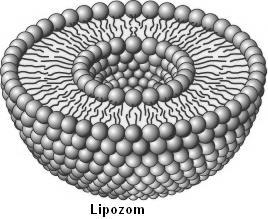 Enkapsulace léčiv lipozomální