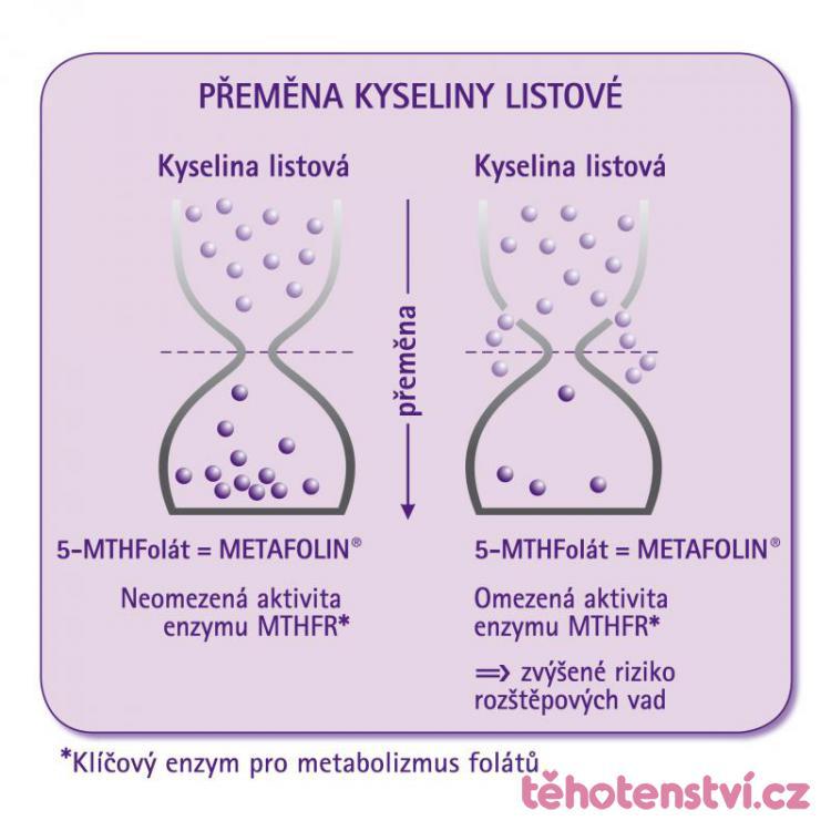 genetická mutace způsobuje narušení termostability