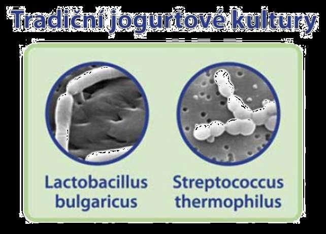 KYSANÉ MLÉČNÉ VÝROBKY vznikají kysáním mléka, smetany, podmáslí nebo jejich směsí pomocí mikroorganismů (příčina přeměny mléka na jogurt).