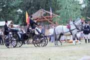 Mladý tenista úspěšně absolvoval kvalifikaci a v 1. kole vyzval hrající legendu Davida Ferrera. Kolář především ve druhém setu španělského tenistu potrápil, postup přesto nezískal.