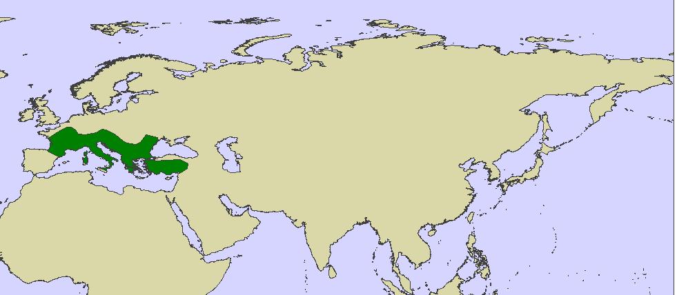 Geoelementy 16.